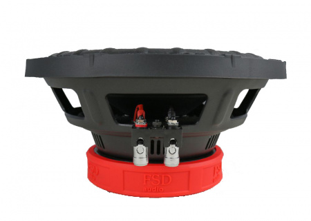 FSD audio Standart 10 D2 333