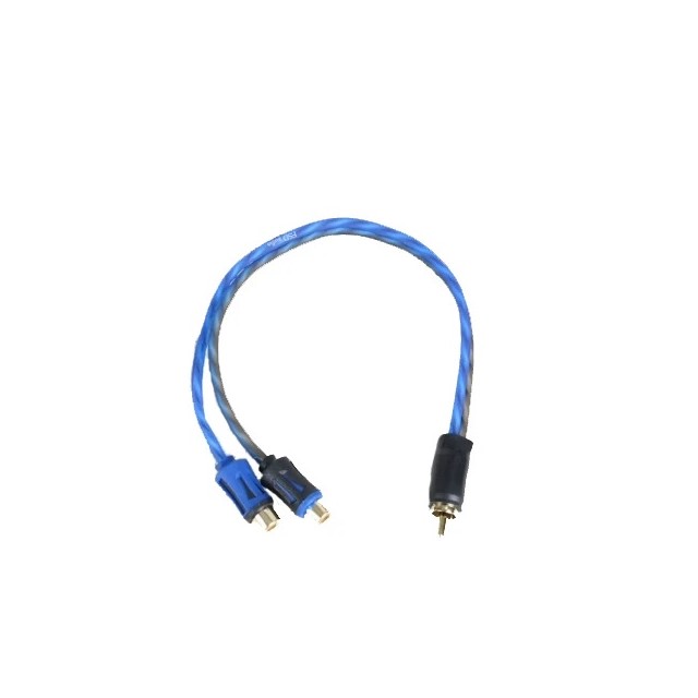 FSD audio SRCA Y2F 111